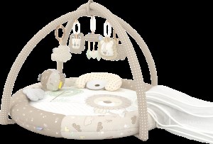 رز برن طرح شیر تشک بازی